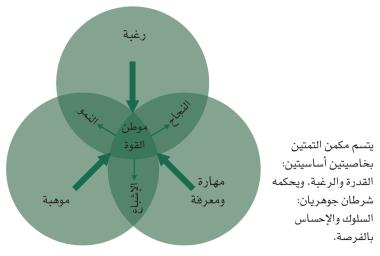 تمتين نقطة القوة يعظم القوة!