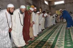 محاربة السلفية وتشجيع الدروشة ورعاية الروشنة تفاقم الدعشنة محاربة السلفية وتشجيع الدروشة ورعاية الروشنة تفاقم الدعشنة